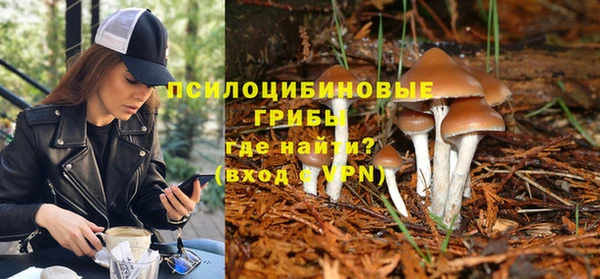 прущая мука Инсар