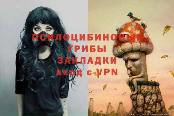 ECSTASY Инта