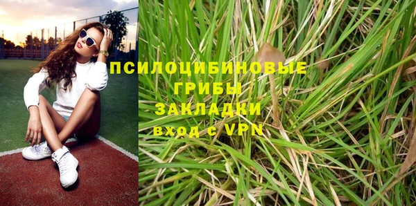 прущая мука Инсар