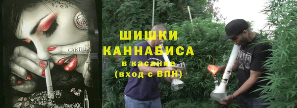 ECSTASY Инта