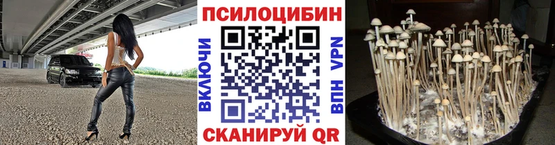 Купить где  Шлиссельбург  Псилоцибиновые грибы ЛСД 
